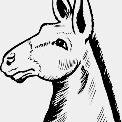 Animals Thumbnail